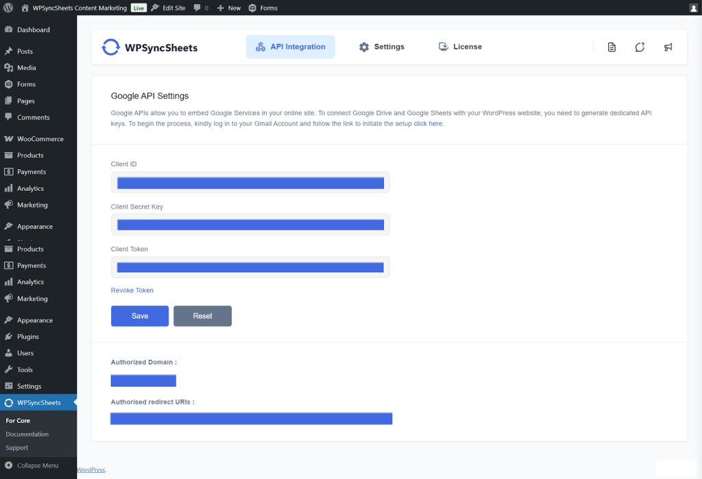 Google API Settings