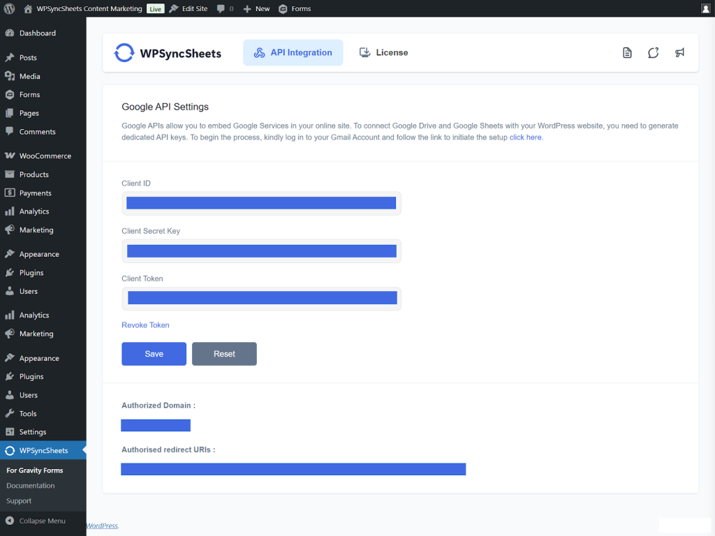 Google API Settings